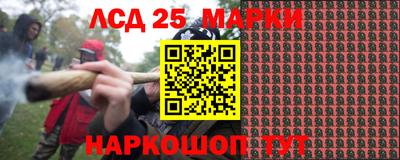 гидропоника Гусев
