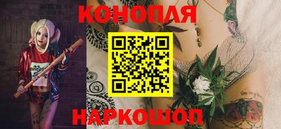 гидропоника Гусев