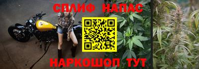 гидропоника Гусев